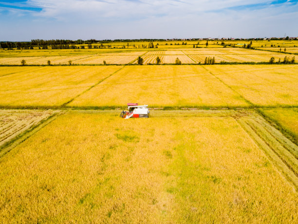 航拍的农业机械在稻田收割水稻图片下载
