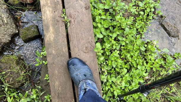 北欧人在桥上行走的腿和拐杖图片下载