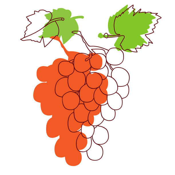 葡萄的水彩画图案。图片下载