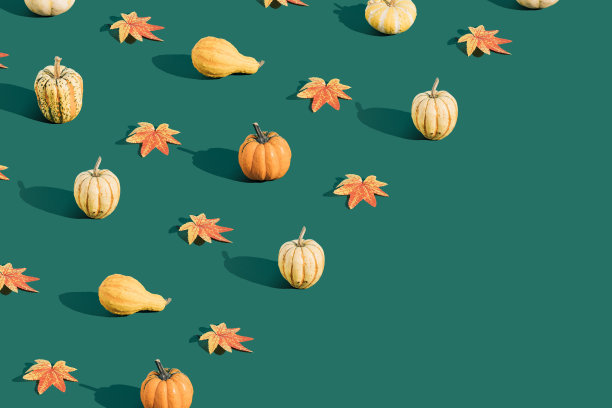 创意万圣节背景与彩色的天然南瓜和秋天的树叶在绿色的背景。副本的空间。图片下载