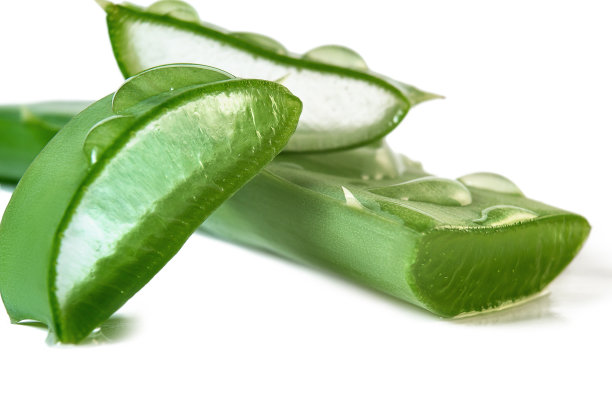 芦荟新鲜切片和叶片孤立在白色背景图片下载