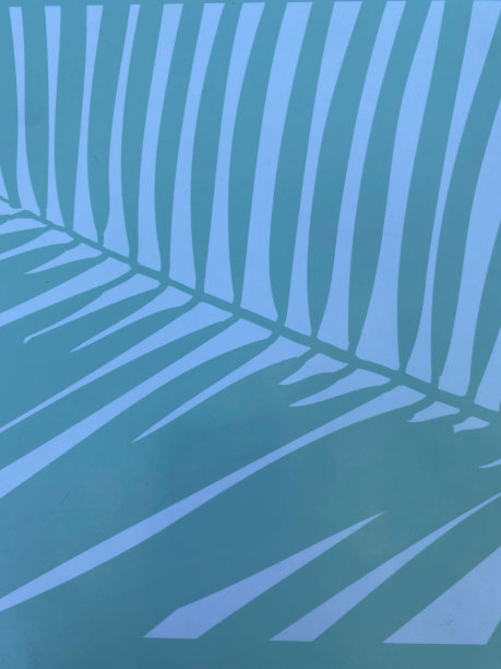 棕榈叶图形细节图片下载