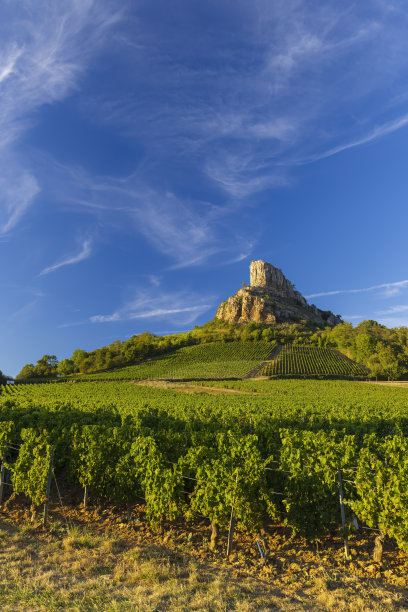 有葡萄园的岩石，勃艮第，Solutre- pouilly，法国图片下载