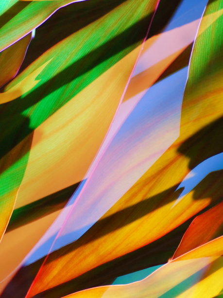 抽象的树叶背景，抽象的花朵图片下载