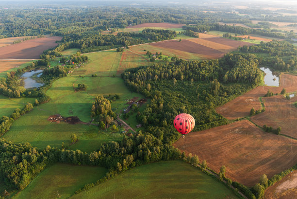 在一个阳光明媚的夏日早晨，带着黑点的红色热气球飞过田野和森林。鸟瞰图,拉脱维亚。图片下载