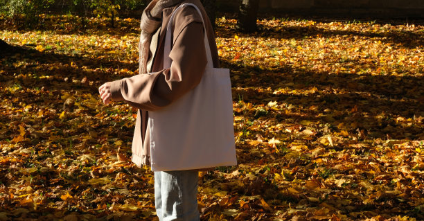 白色的购物者。时尚包模板。图片下载