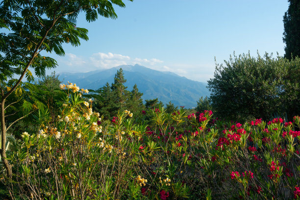 在法国可以看到鲜花、群山和美丽的风景图片下载