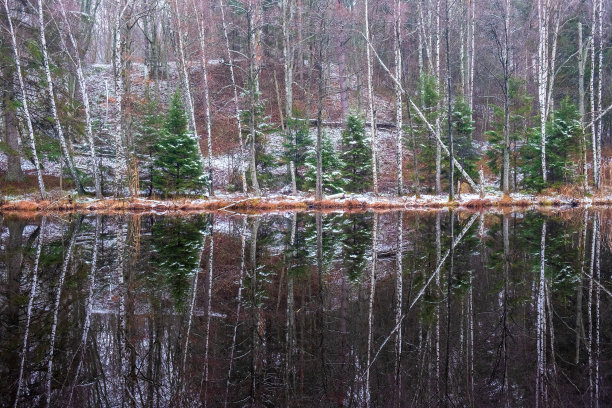 森林湖与雪和水的倒影图片下载