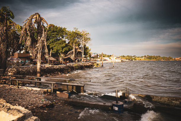维多利亚湖的海岸线，恩德培，乌干达图片下载