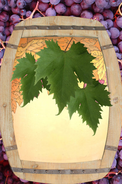 营销葡萄酒交易会拷贝空间图片下载