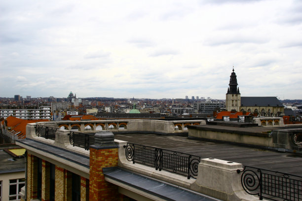 布鲁塞尔灰暗的春日图片下载