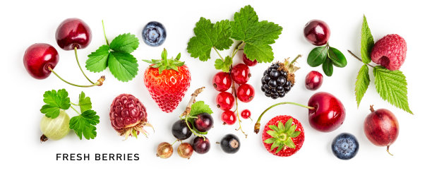 不同新鲜浆果的创意组成图片下载