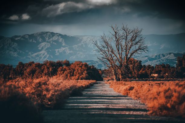 棕榈泉沙漠中一条道路的复古照片，背景是山脉图片下载