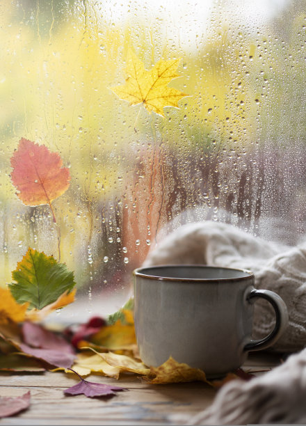 舒适的秋天的概念。一杯茶放在窗台上，背景是玻璃和雨滴图片下载