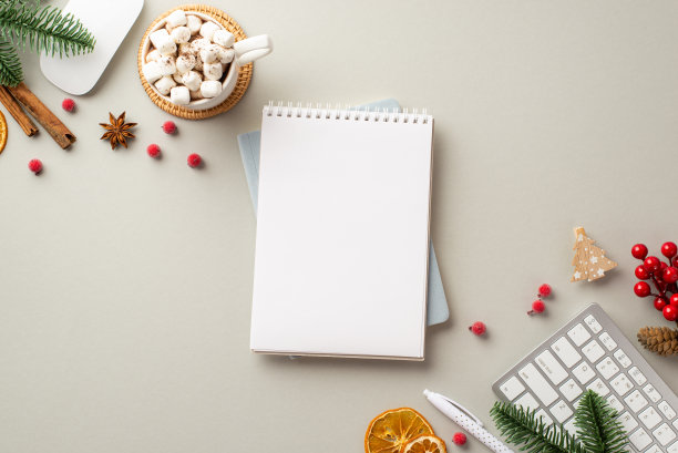 新年的概念。俯视图照片计划键盘电脑鼠标杯可可棉花糖槲寄生杉树树枝干橙片肉桂棒在孤立的灰色背景与copyspace图片下载