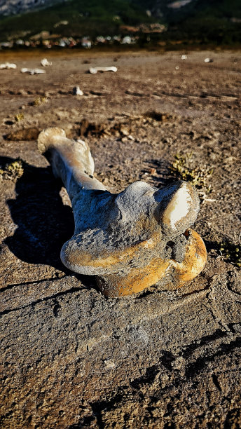 遗骸- 05图片下载