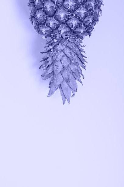 新鲜菠萝在米色背景复制空间图片下载