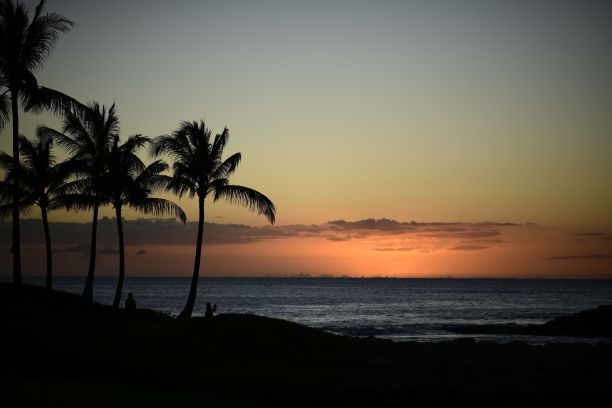 海滩上的日落，棕榈树的剪影和拍照的人们图片下载