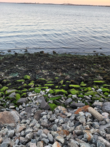 海岸边长满青苔的石头的垂直照片图片下载