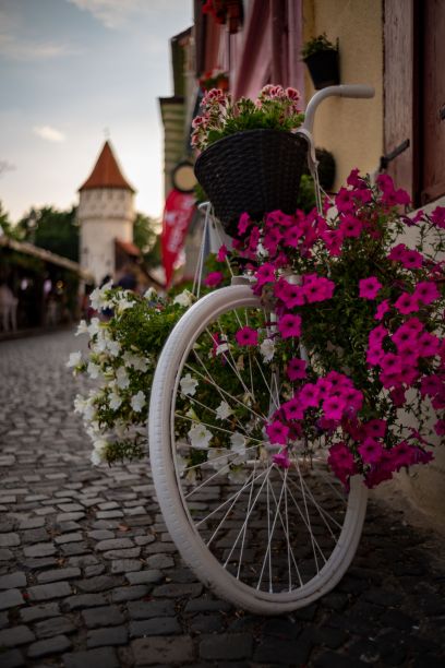 用粉色和白色花朵装饰的白色自行车的美丽照片图片下载