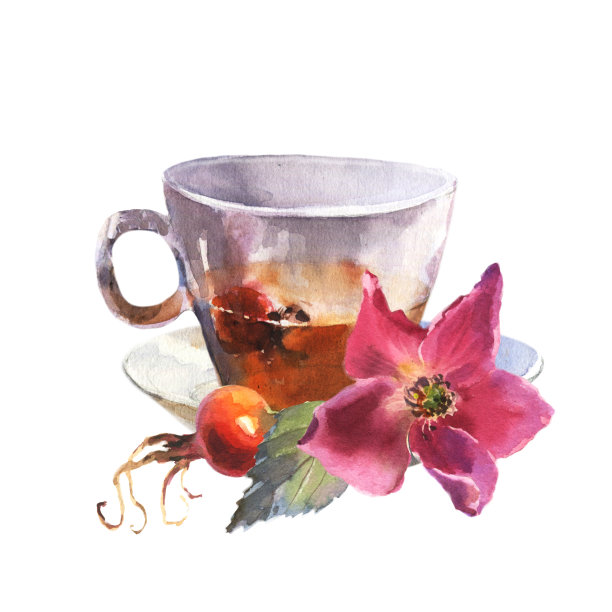 水彩插图，杯子装饰粉红色的狗玫瑰花和红色的浆果。图片下载