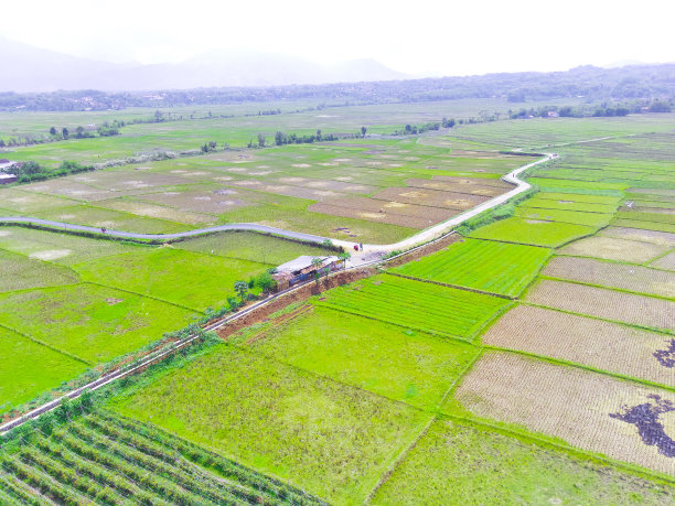 炎热天气下的农田航拍照片图片下载