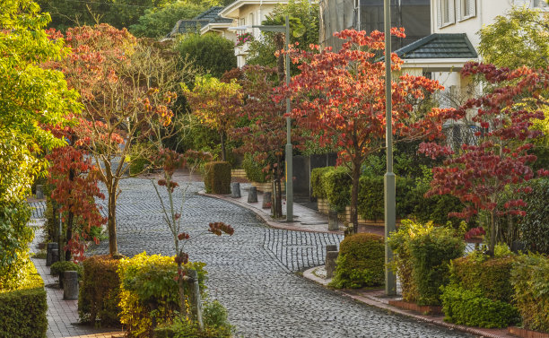 住宅街道图片下载