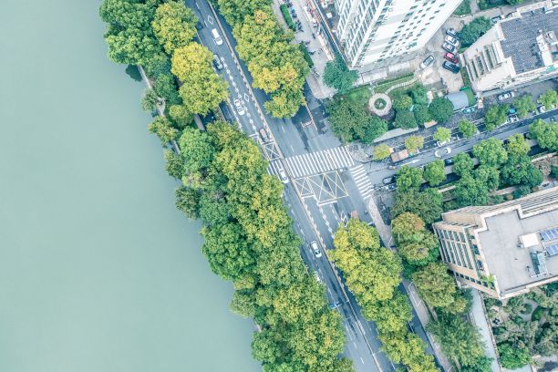 鸟瞰杭州的柏油路，周围是建筑和树木图片下载