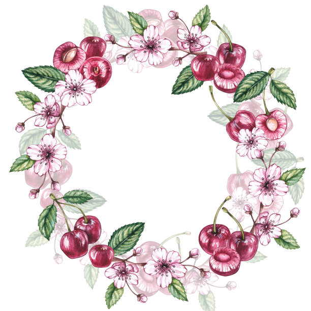 水彩樱桃框架上的白色背景图片下载