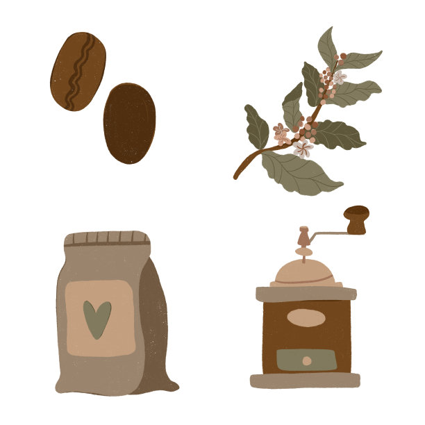 咖啡套装，咖啡豆，植物，咖啡研磨机和咖啡包装图片下载