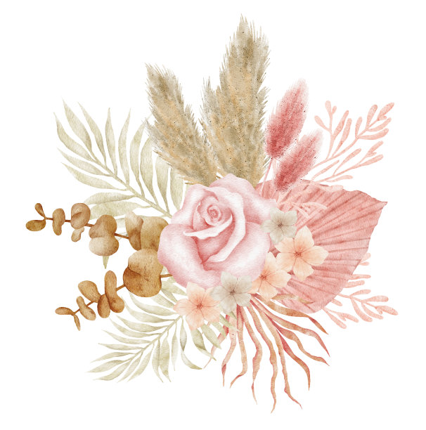 水彩波西米亚热带干花花束图片下载