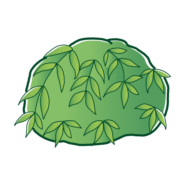 水羽毛球插图(水生植物)图片下载