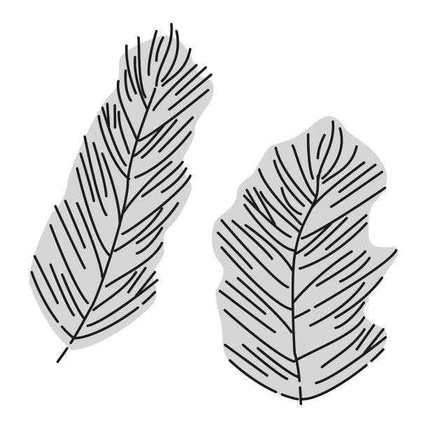 松茂插图(水生植物)图片下载