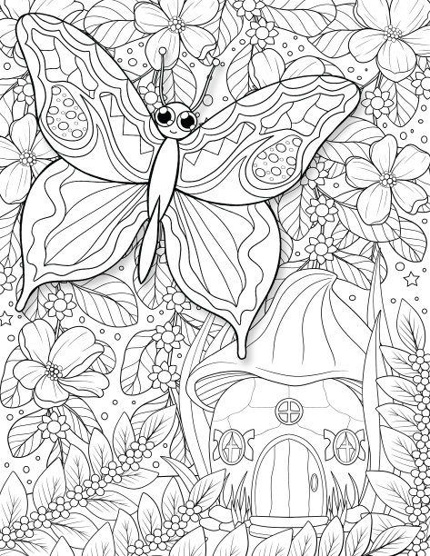 蝴蝶的颜色的书图片下载