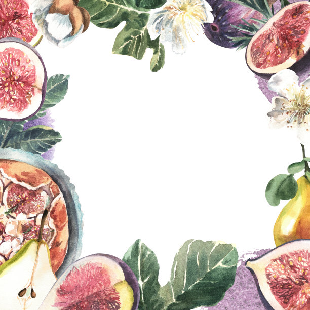 白色的水果和浆果的框架。水彩手绘插图。元素用于设计请柬，电影海报，织物和其他物品。图片下载