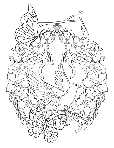 神奇蝴蝶涂色书图片下载