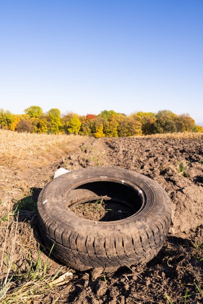 垂直拍摄的汽车轮胎在乡村景观与秋天的森林为背景图片下载