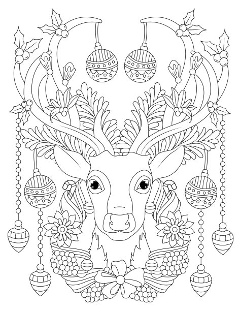 神奇圣诞涂色书图片下载