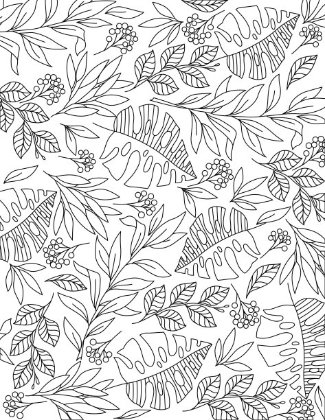 神奇花园涂色书，涂色页图片下载