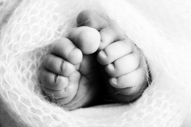 新生儿的小脚。襁褓中的新生儿柔软的脚。一个新生儿的脚趾，脚跟和脚的特写。工作室微距黑白摄影。女人的幸福。图片下载