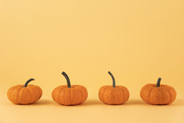 橙色的南瓜素材图片