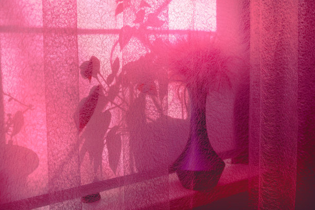 羽毛草或针叶草，红花瓶内的小球花为家庭安排新时髦的家居装饰夏光与阴影，最小的室内细节图片下载