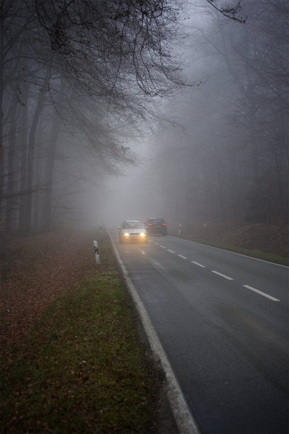 秋天的路穿过森林的雾图片下载