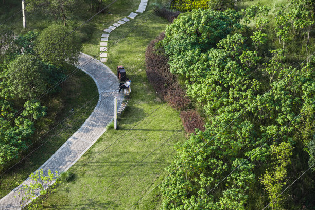 阳光明媚的草地图片下载