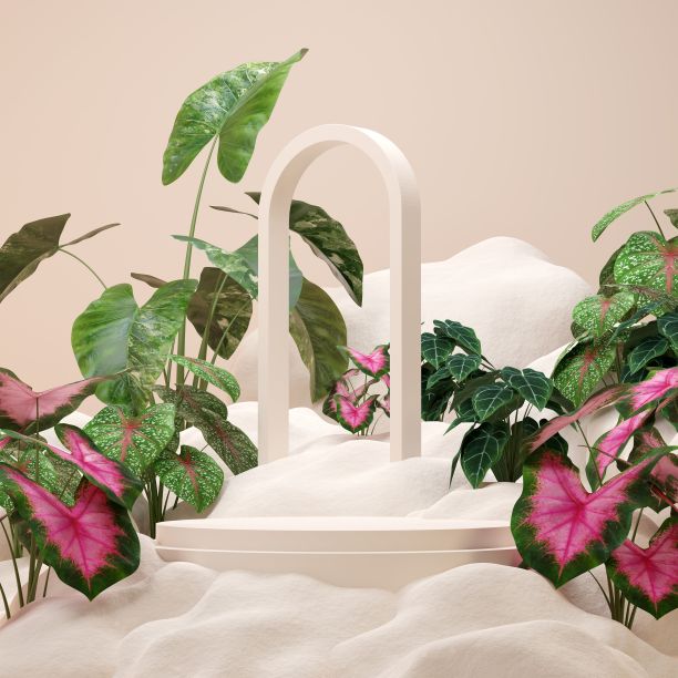 一个被植物包围的空讲台的3D渲染插图图片下载