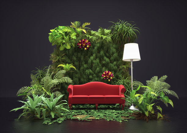 沙发在自然剖面与植物室内。图片下载