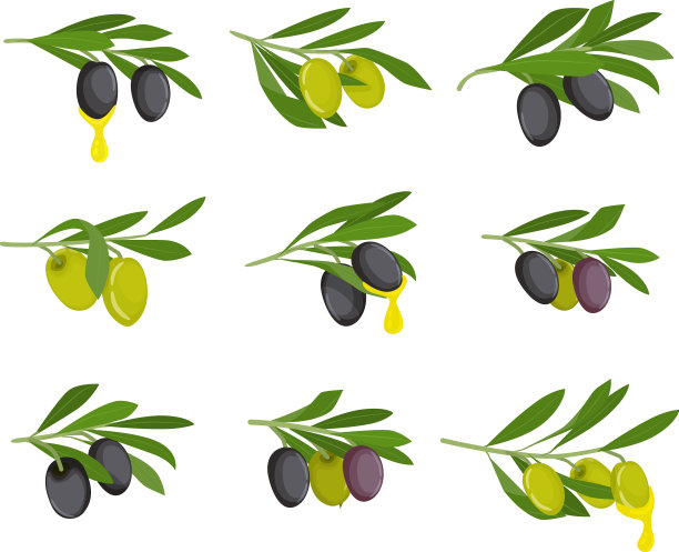 橄榄平面图标套装图片下载