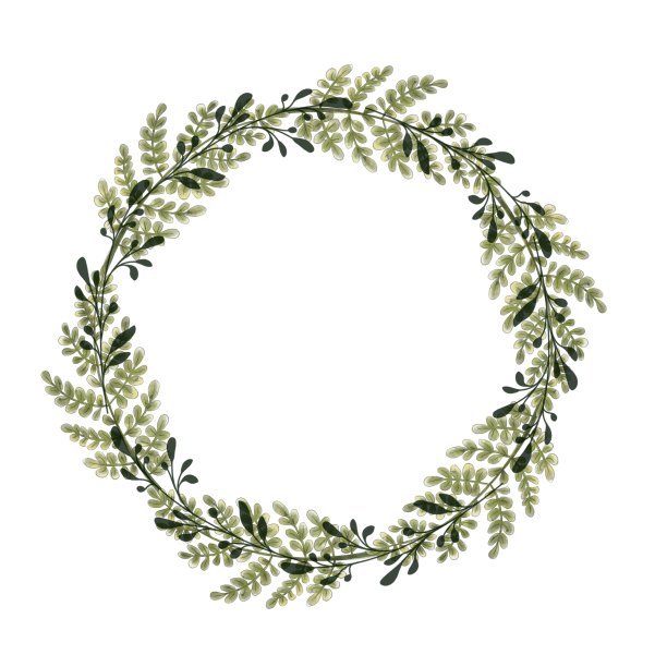 花环。绿色的树枝，孤立在白色的背景。邀请和贺卡的设计元素图片下载