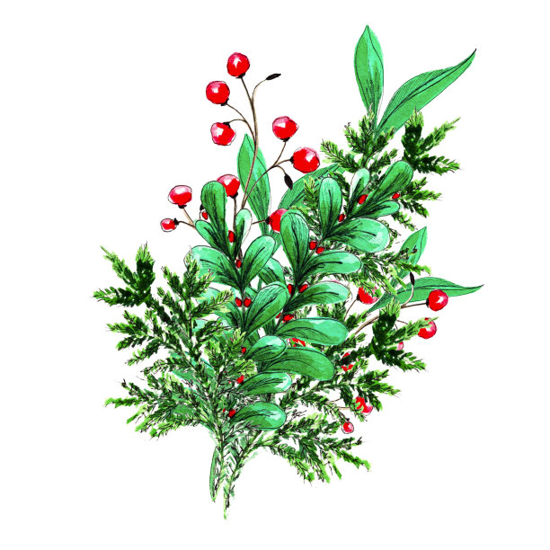 圣诞绿色花束。叶子和红色浆果的水彩插花图片下载