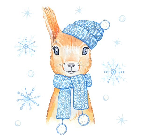 戴着蓝色针织帽子和围巾的可爱松鼠。水彩图片下载